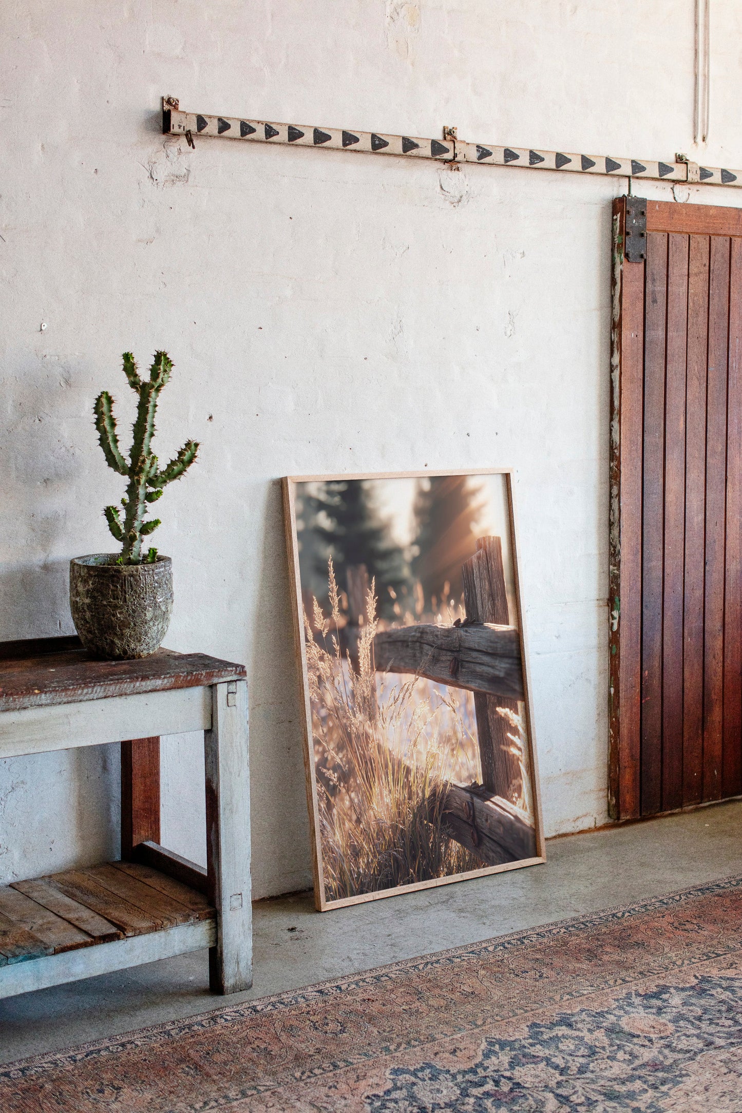 Golden Light on Weathered Wood (Online Exclusive)