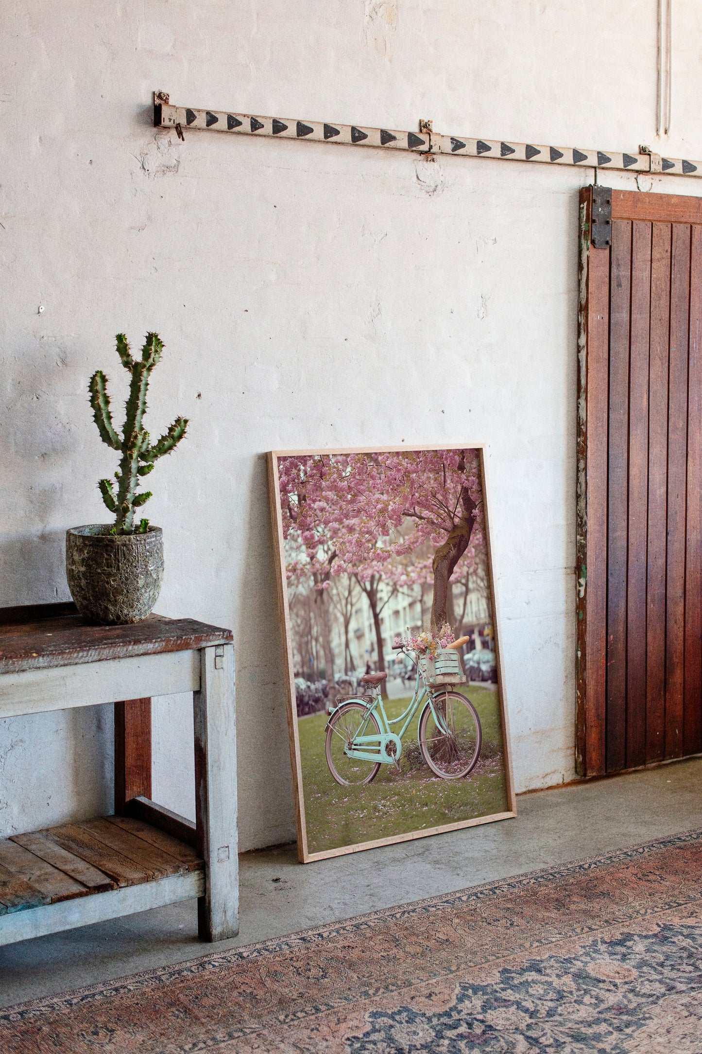 Bicycle Beneath Blossoming Canopy (Online Exclusive)