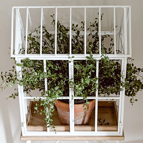 Greenhouse Inspired Outdoor Plant Stand (Online Exclusive)