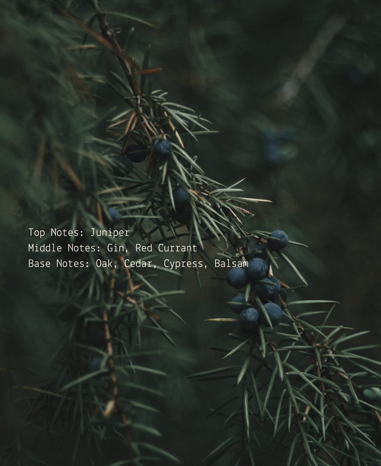 Heal Room + Linen Fragrance Mist  (online exclusive)