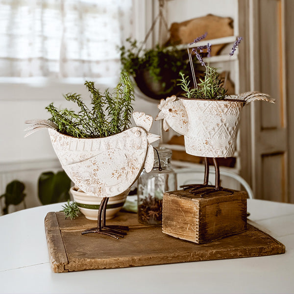 Indoor/Outdoor Distressed Hen Planter, Choose Your  Style (Online Exclusive)