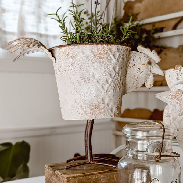 Indoor/Outdoor Distressed Hen Planter, Choose Your  Style (Online Exclusive)