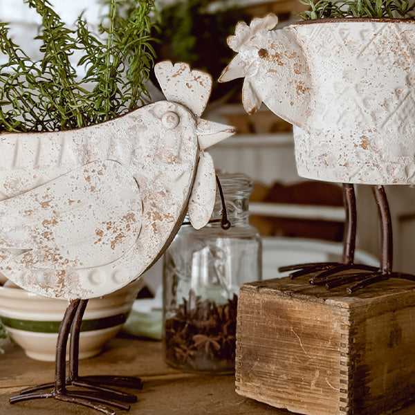 Indoor/Outdoor Distressed Hen Planter, Choose Your  Style (Online Exclusive)