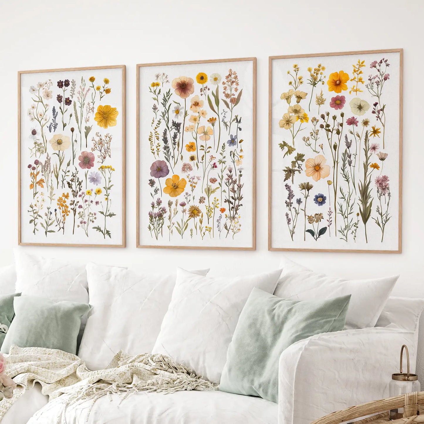 Colorful Botanical Flower Set of 3. Wildflower Prints