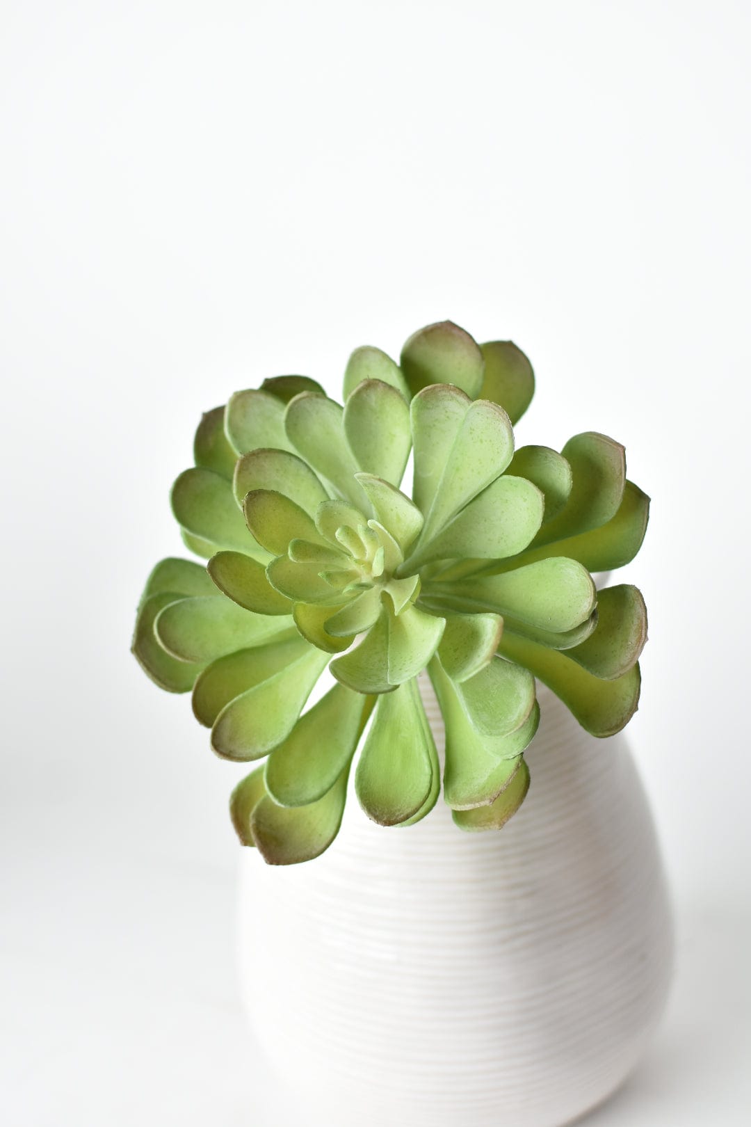 6" Faux Soft Aeonium Succulent Pick (Online exclusive)