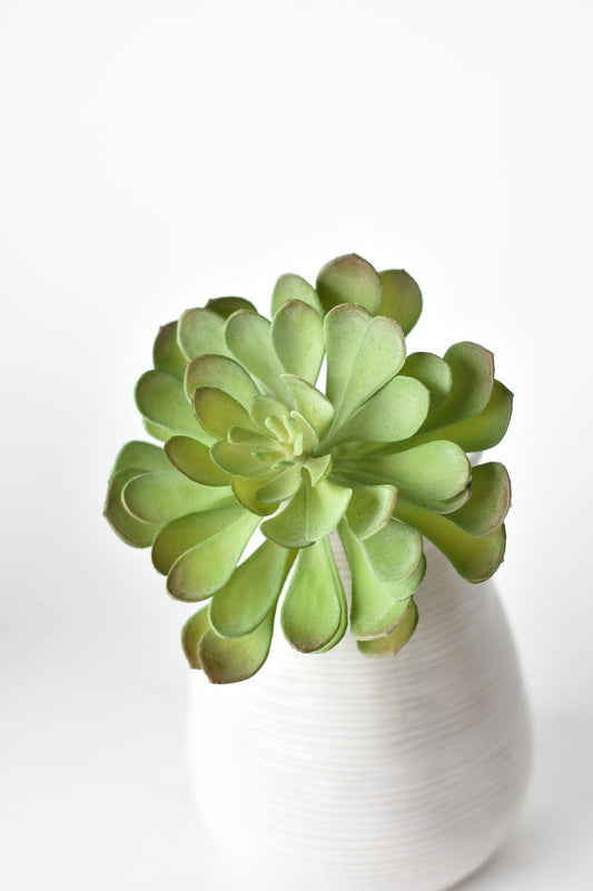 6" Faux Soft Aeonium Succulent Pick (Online exclusive)
