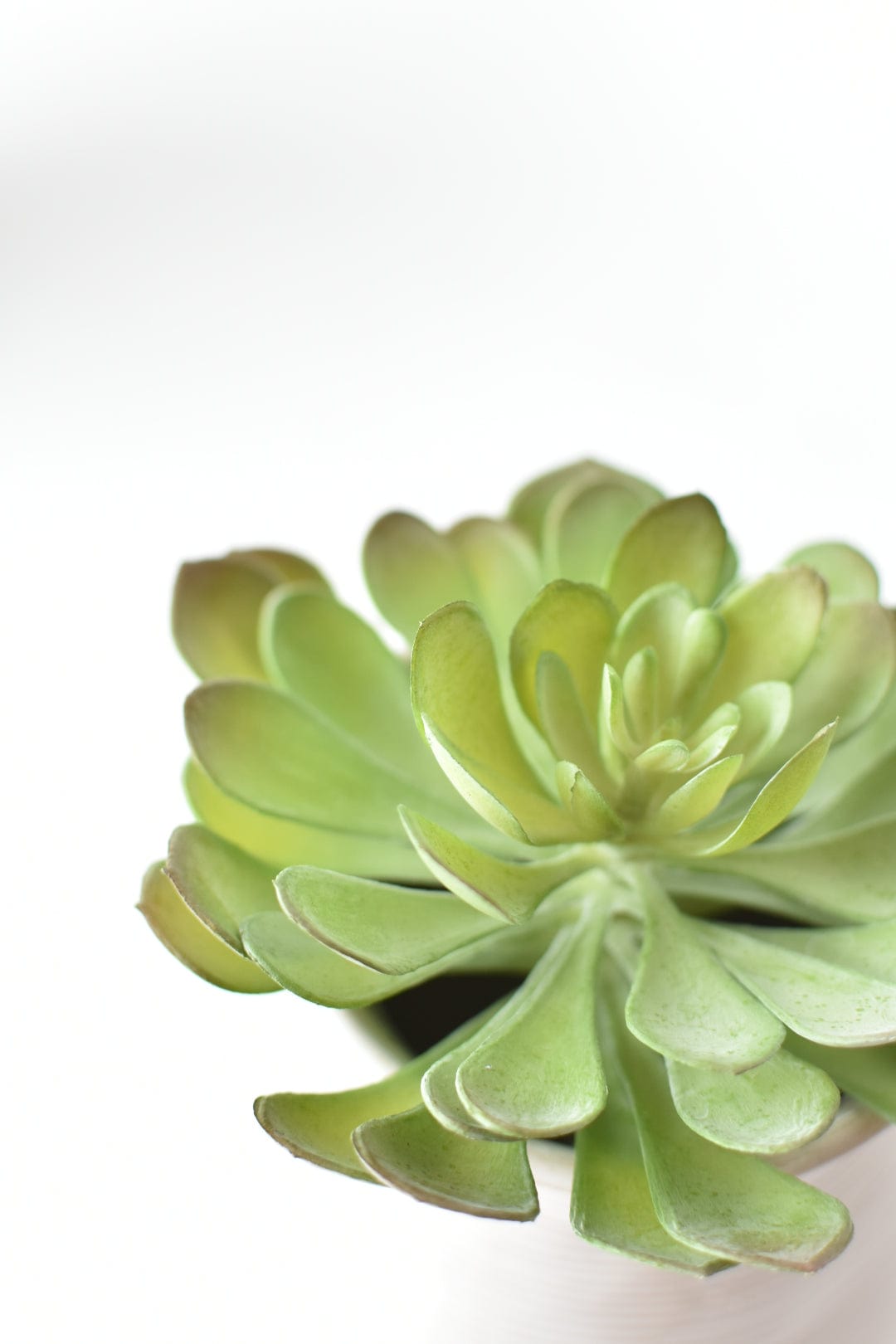 6" Faux Soft Aeonium Succulent Pick (Online exclusive)