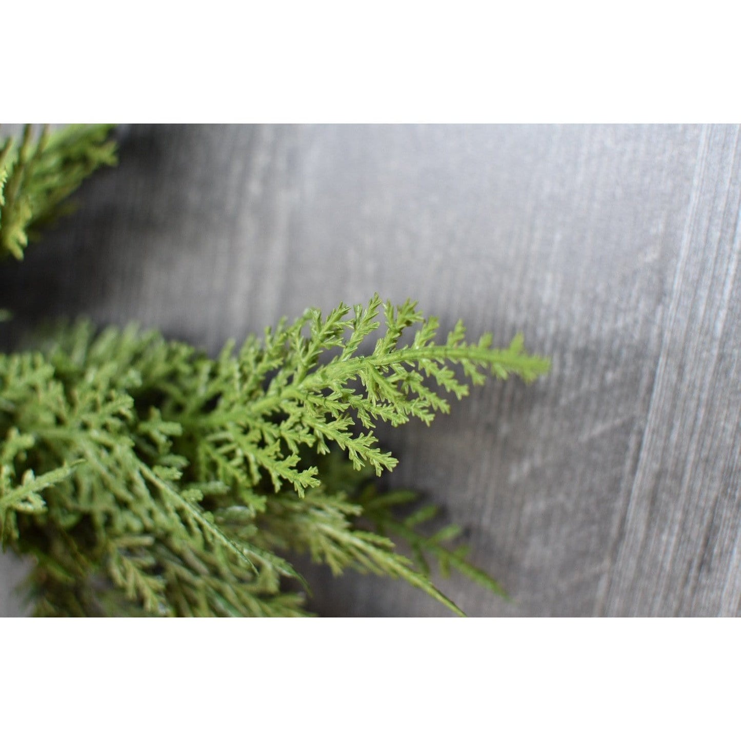 12" Faux Cedar Wreath CW1 (Online exclusive)