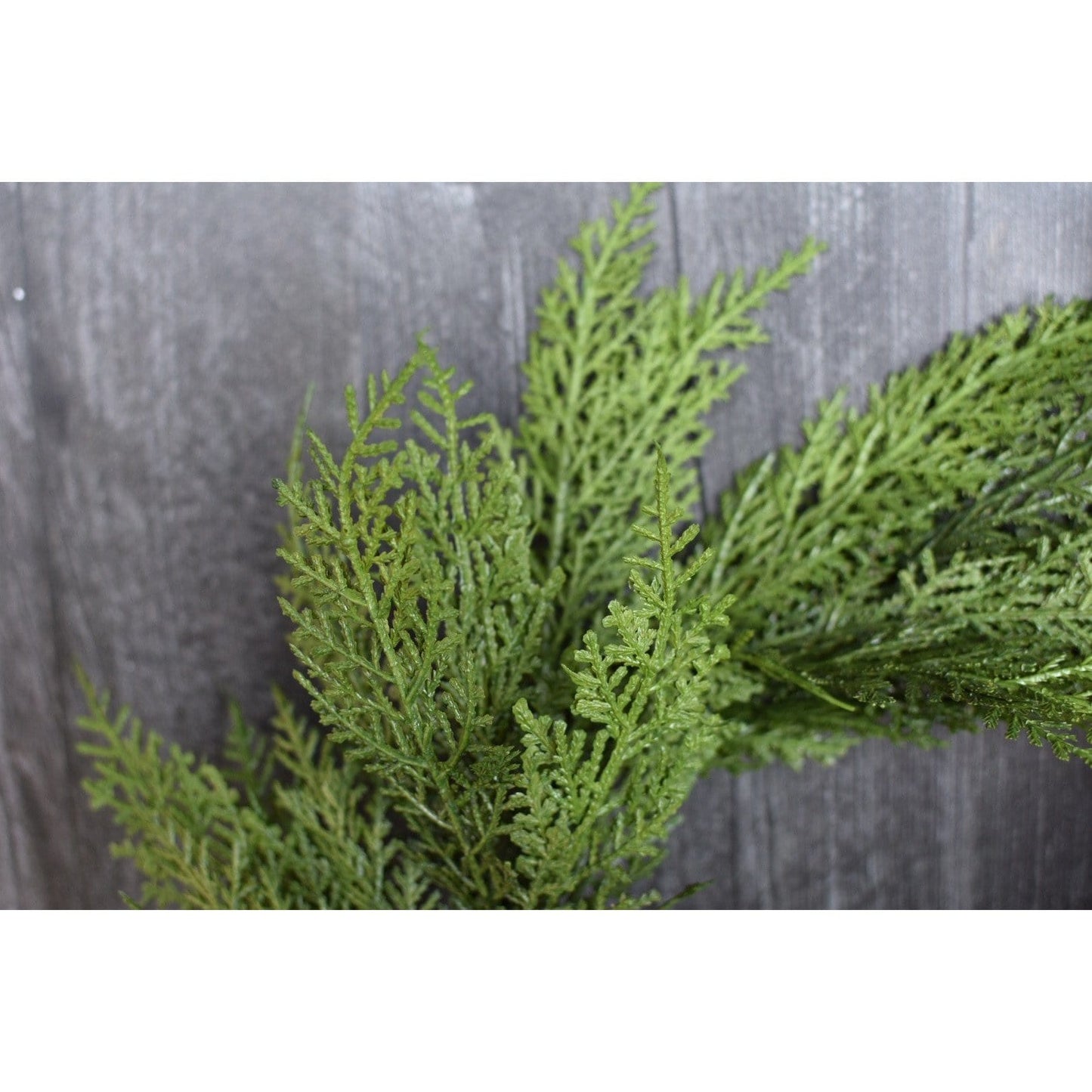 12" Faux Cedar Wreath CW1 (Online exclusive)