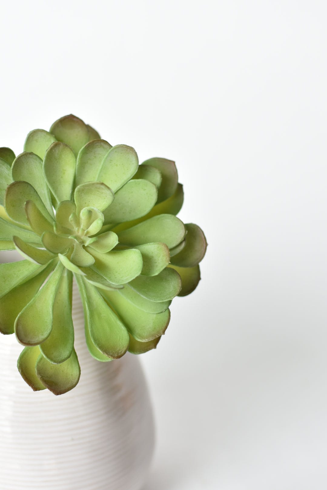 6" Faux Soft Aeonium Succulent Pick (Online exclusive)