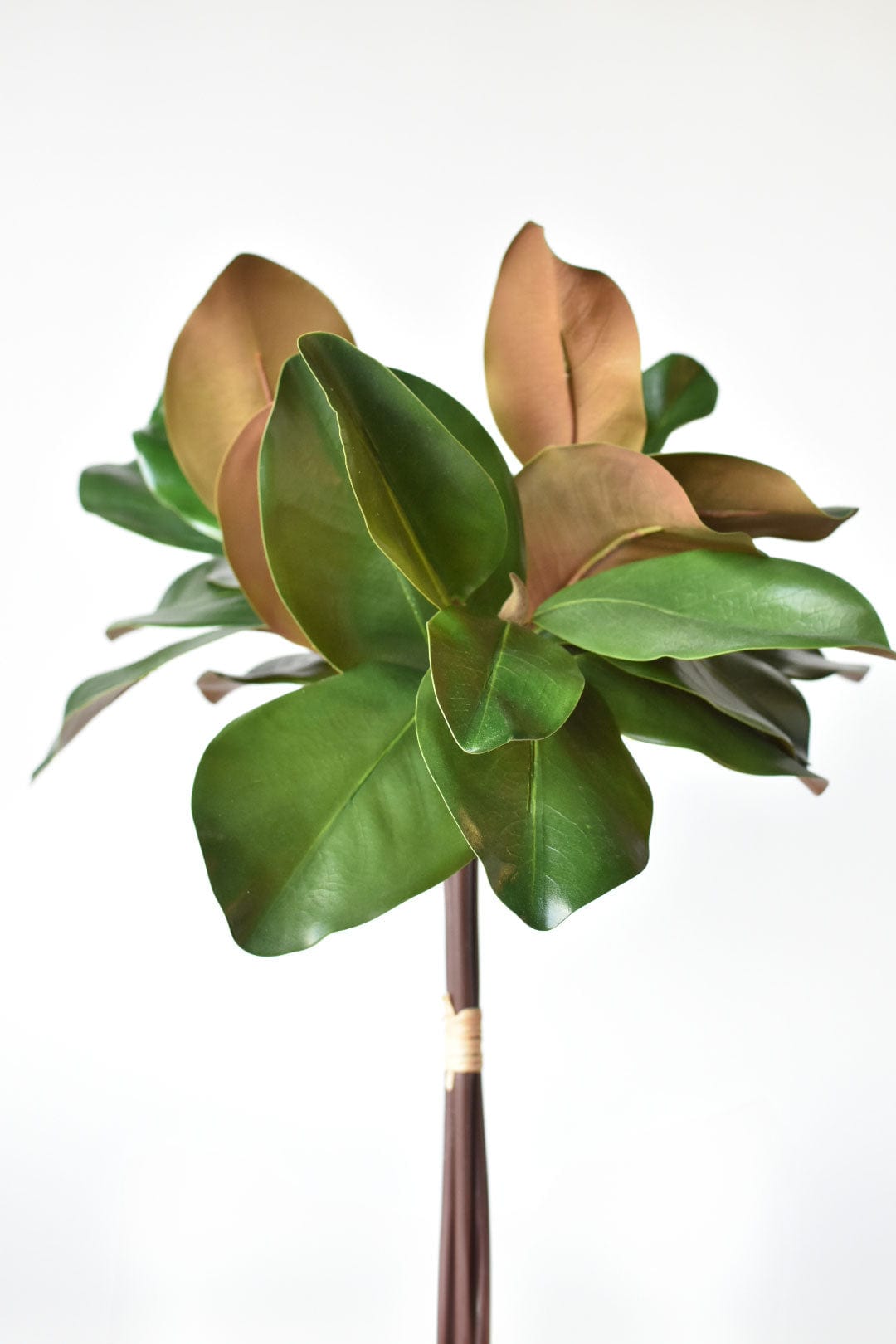 18" Faux Magnolia Leaf Bundle (Online exclusive)