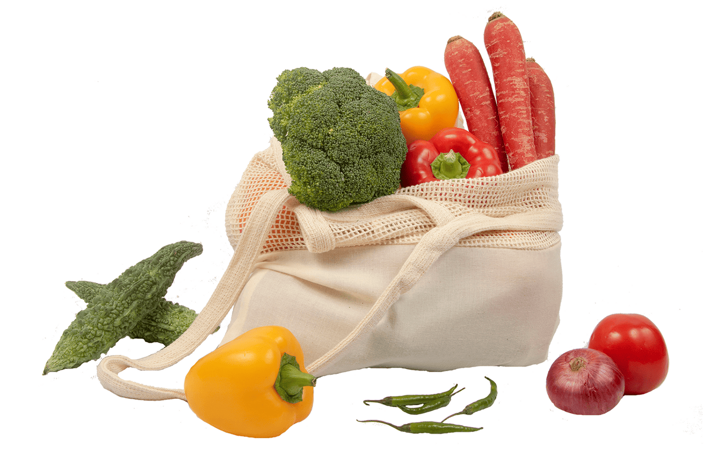 Mesh & Fabric Tote Bag (Online Exclusive)