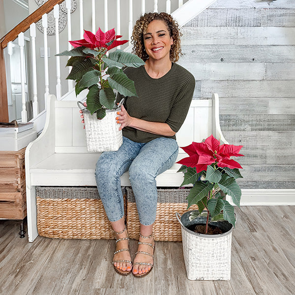 Whitewashed Woven Metal Baskets, Set of 2 (Online Exclusive)