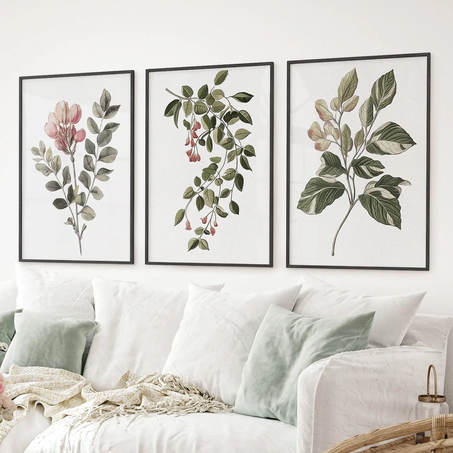 Floral Set of 3 Piece Wall Art. Magnolia, Honeysuckle  Prints  (online exclusive)