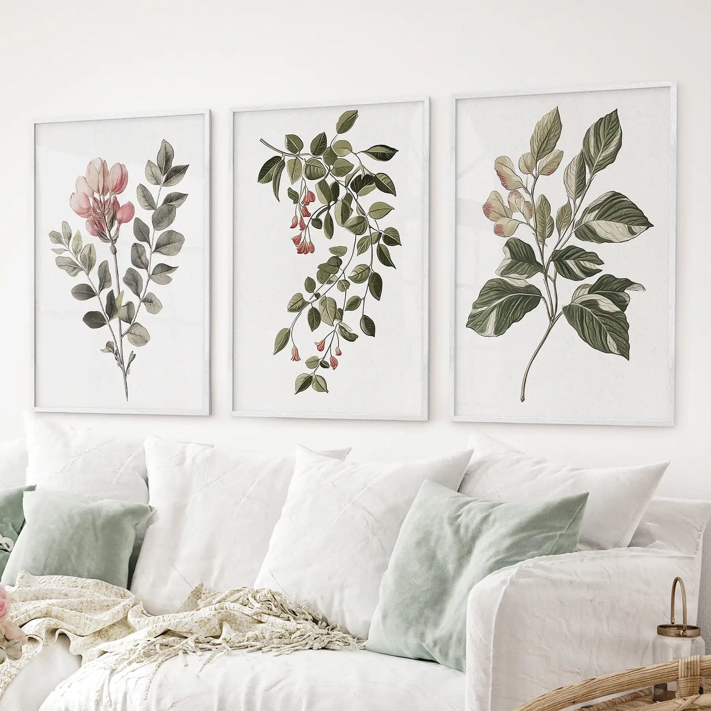 Floral Set of 3 Piece Wall Art. Magnolia, Honeysuckle  Prints  (online exclusive)