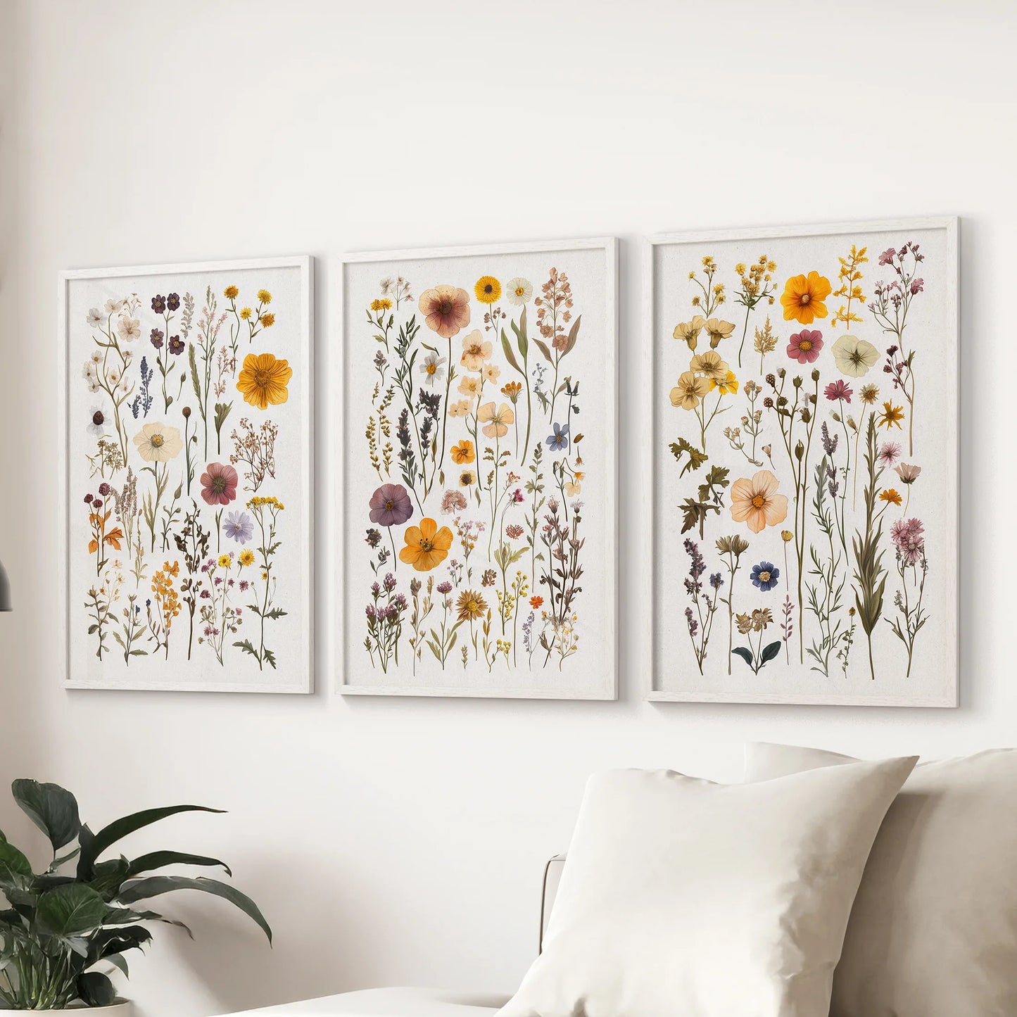 Colorful Botanical Flower Set of 3. Wildflower Prints