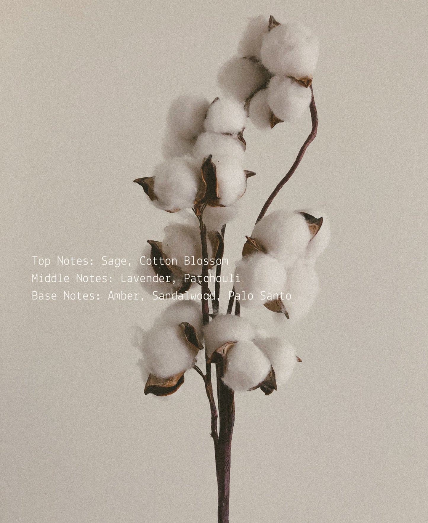 New Moon Room + Linen Fragrance Mist  (online exclusive)