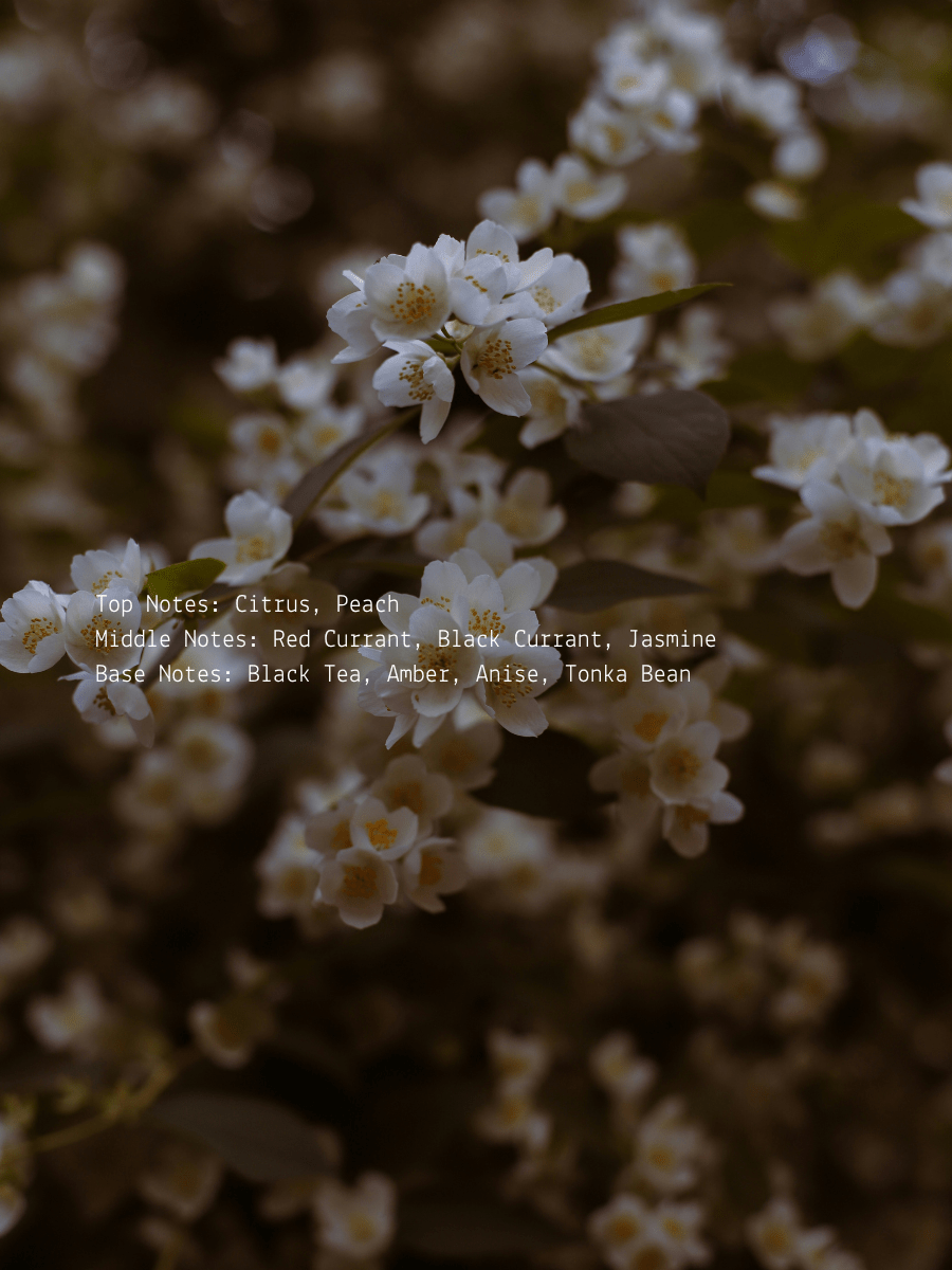 Divine Feminine Ritual Candle  (online exclusive)