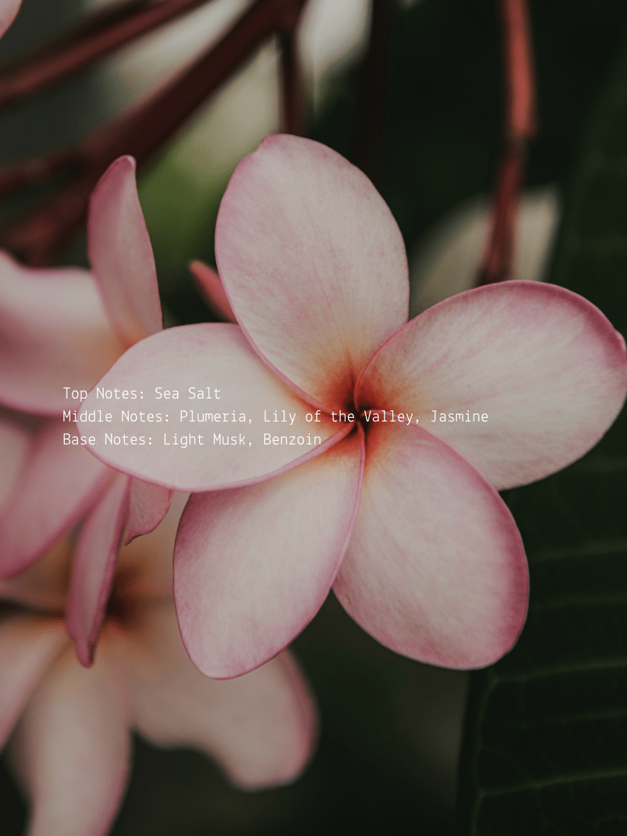 Plumeria + Sea Salt Jasmine Full Bloom Wellness Candle  (online exclusive)
