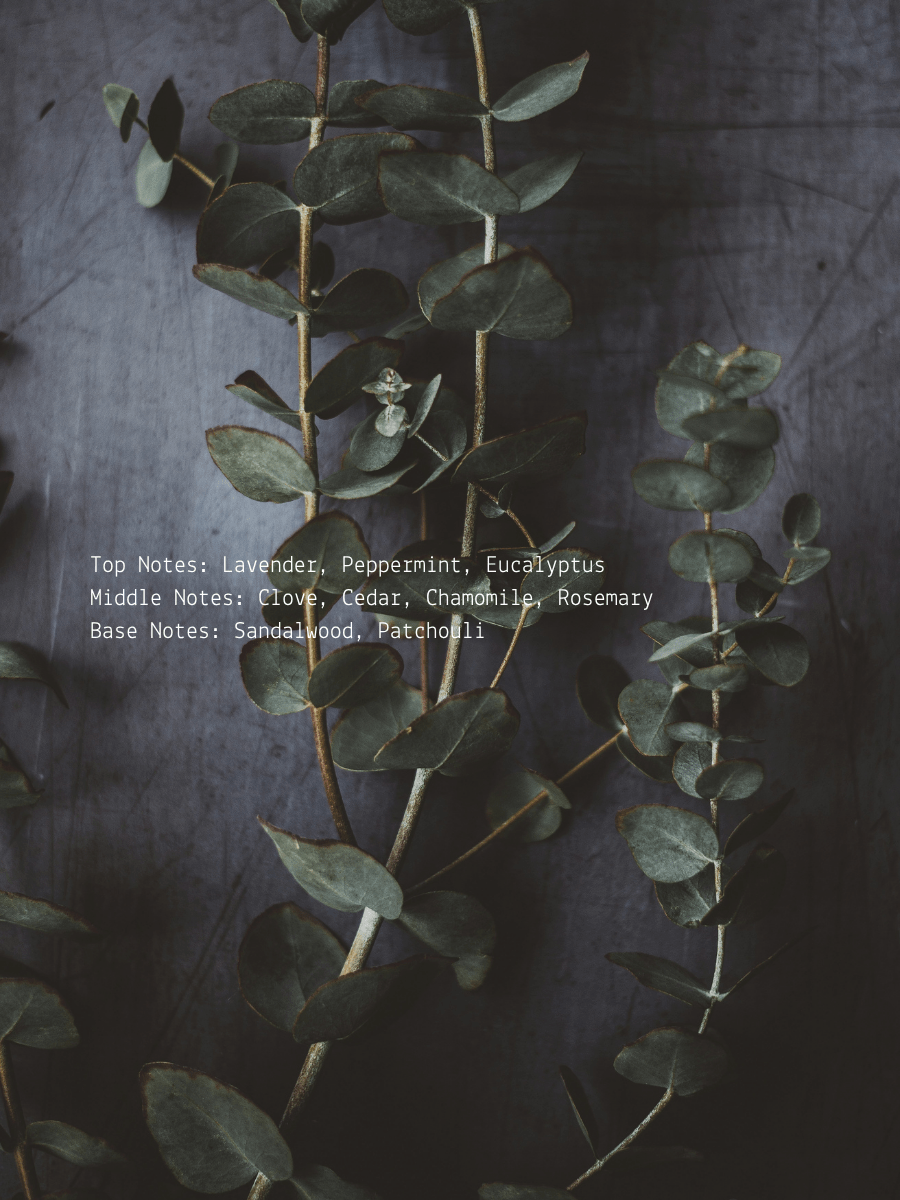 Eucalyptus + Lavender Sage Transcend Wellness Candle  (online exclusive)