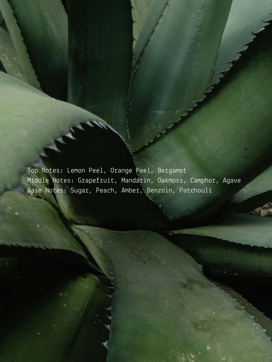 Gratitude Ritual Candle  (online exclusive)