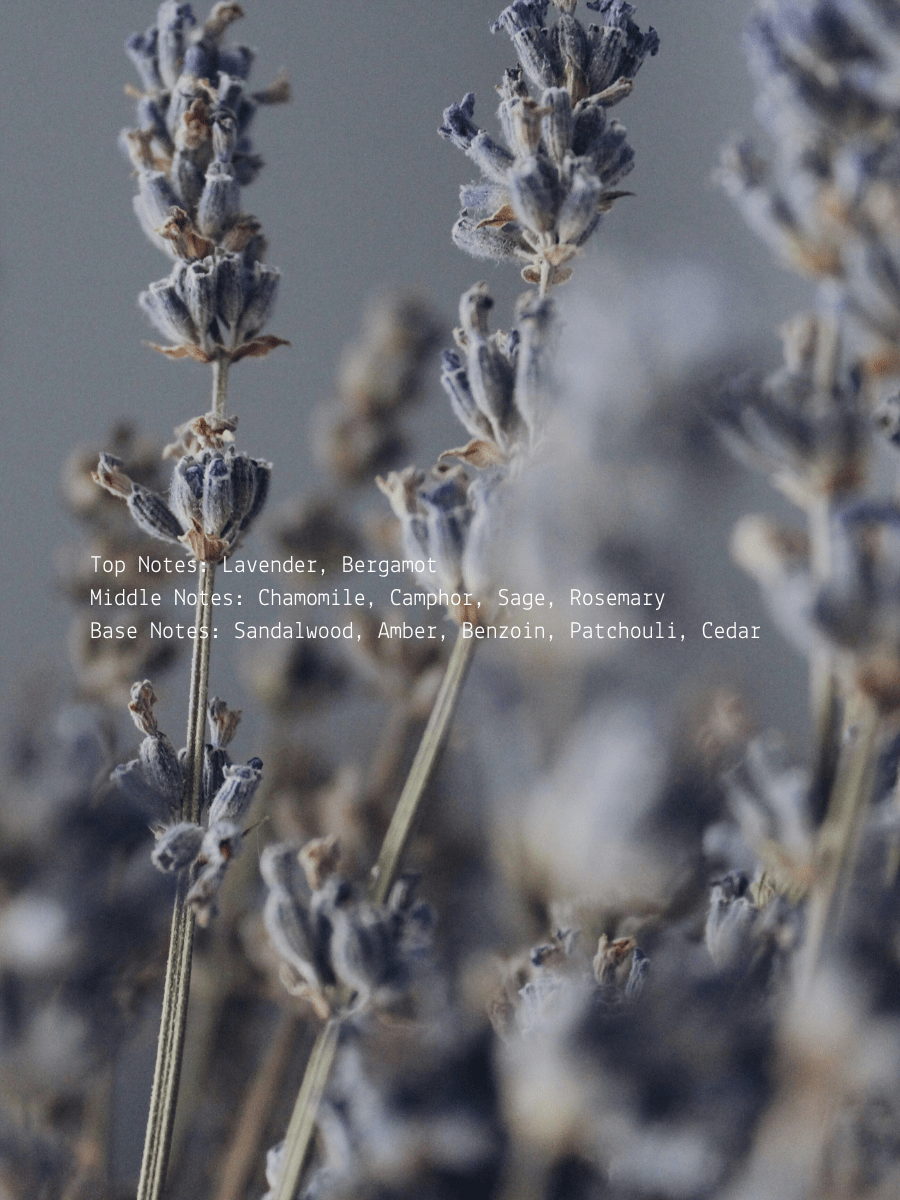 Cedar Sage + Lavender Smudge Wellness Candle  (online exclusive)