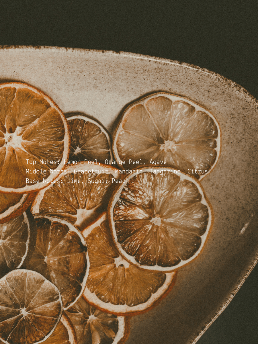 Agave Lemon Peel + Mandarin Renewal Wellness Candle  (online exclusive)