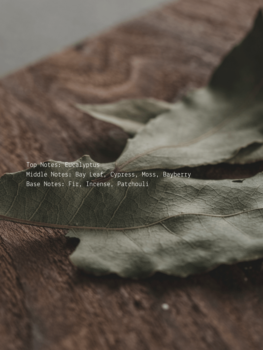 Abundance Ritual Candle  (online exclusive)