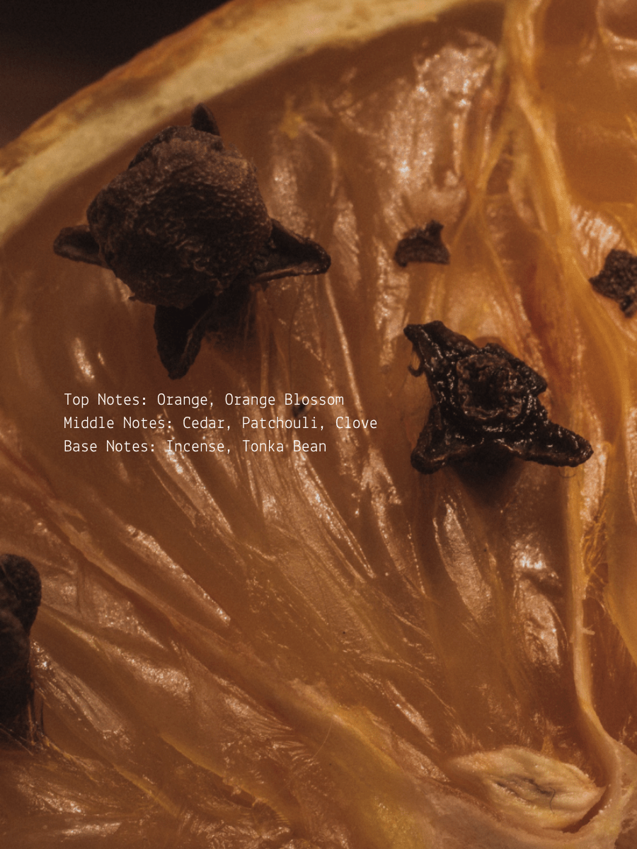 Orange Blossom + Clove Dragon's Blood Wellness  Candle  (online exclusive)