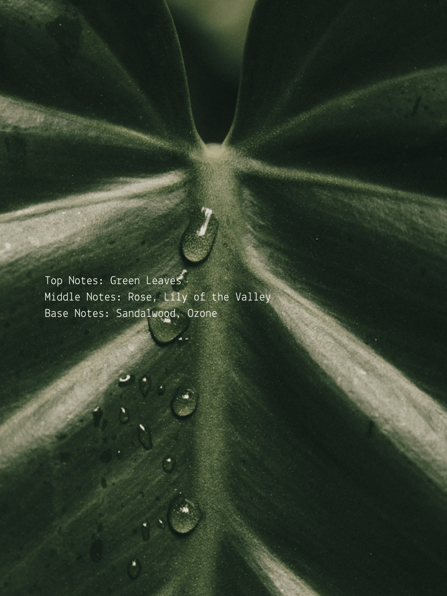 Green Leaf + Ozone Rose Ayahuasca Wellness Candle  (online exclusive)