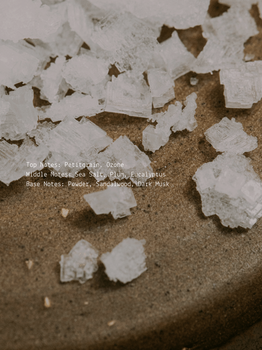 Sea Salt Plum + Dark Musk Full Moon Wellness Candle  (online exclusive)