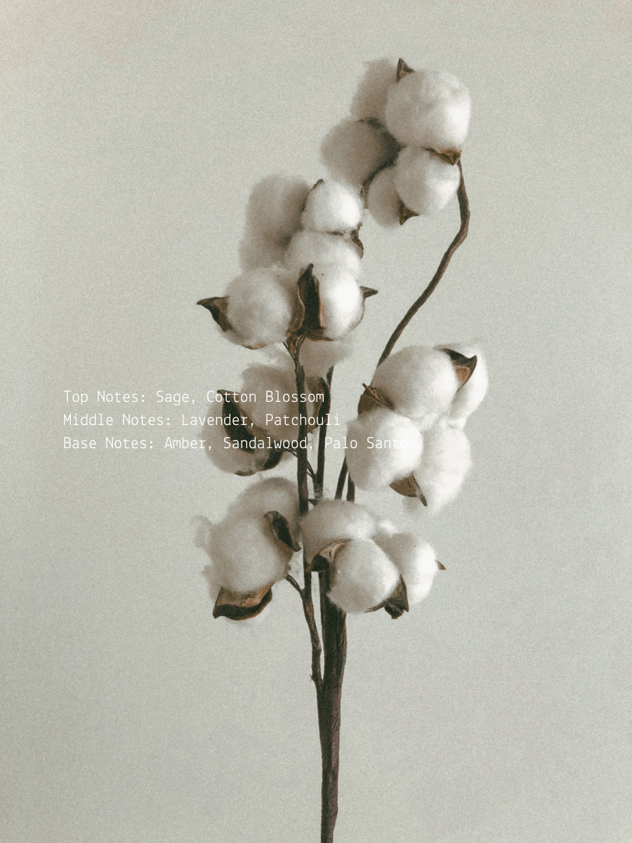 Iris Blossom + Violet New Moon Wellness Candle  (online exclusive)