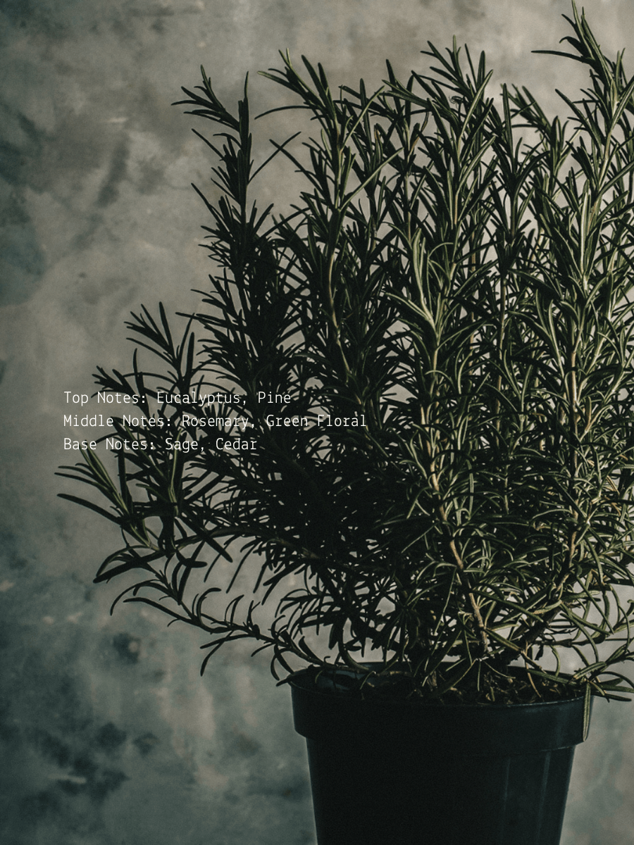 Rosemary + Floral Sage Protection Wellness Candle  (online exclusive)