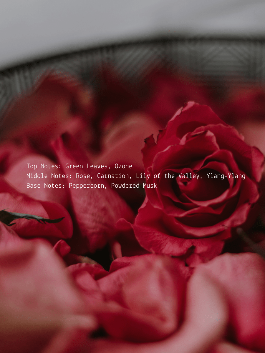 Rose + Ylang Ylang Self Love Wellness Candle  (online exclusive)