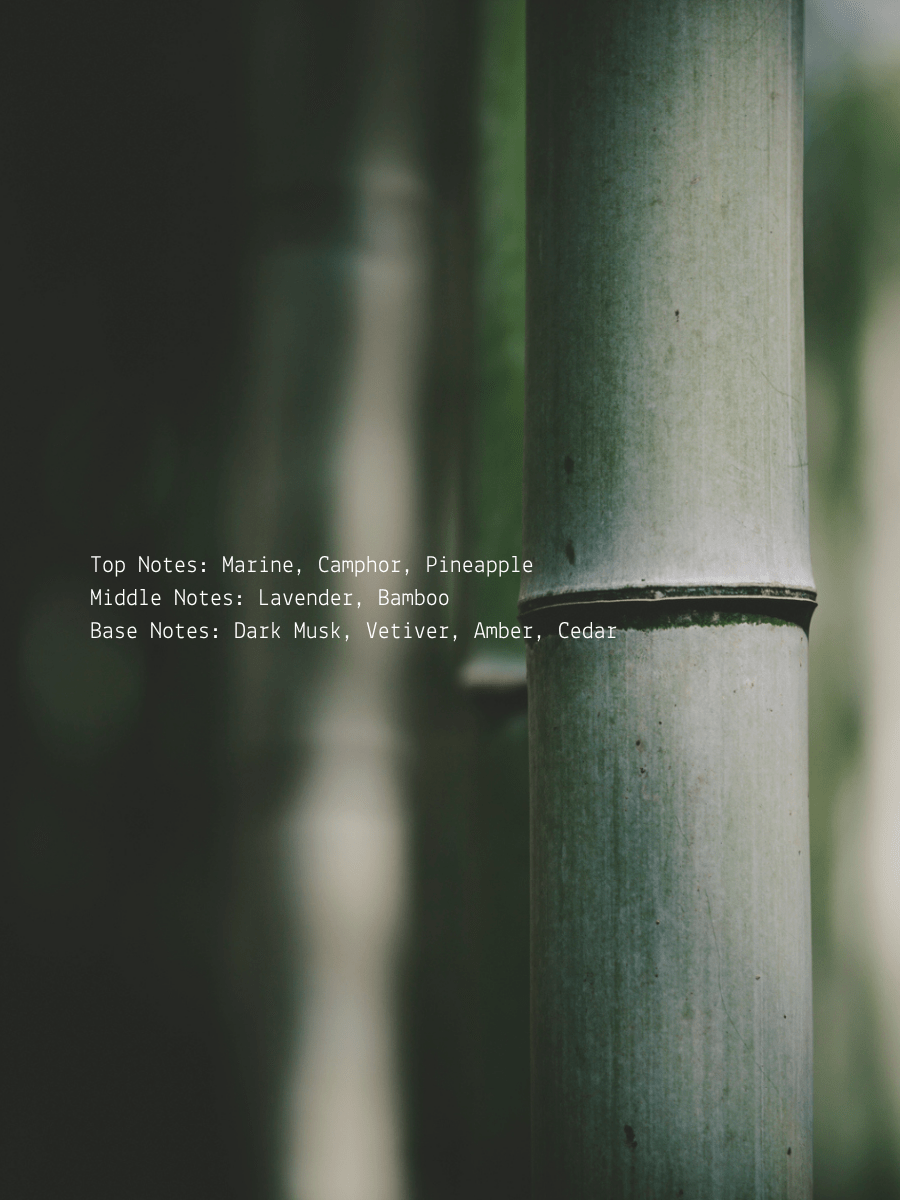 Third Eye Ritual Candle  (online exclusive)