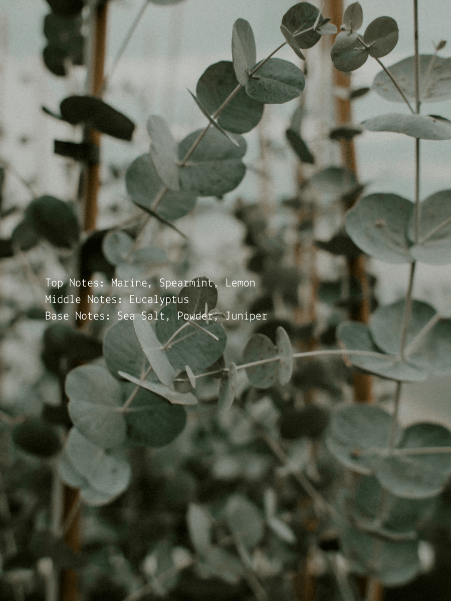 Marine Eucalyptus + Juniper Release Wellness Candle  (online exclusive)