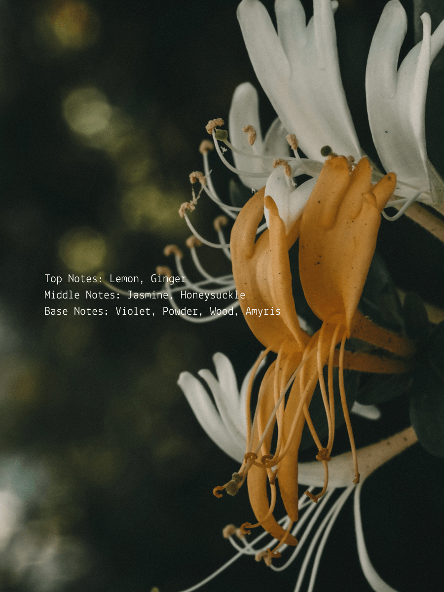 II. The High Priestess Ritual Candle  (online exclusive)