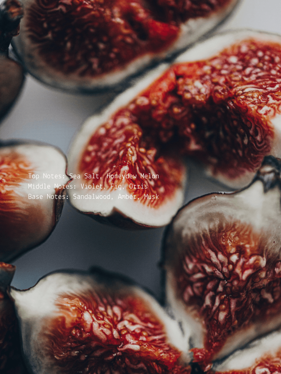 Sea Salt + Orchid Fig Tantra Wellness Candle  (online exclusive)