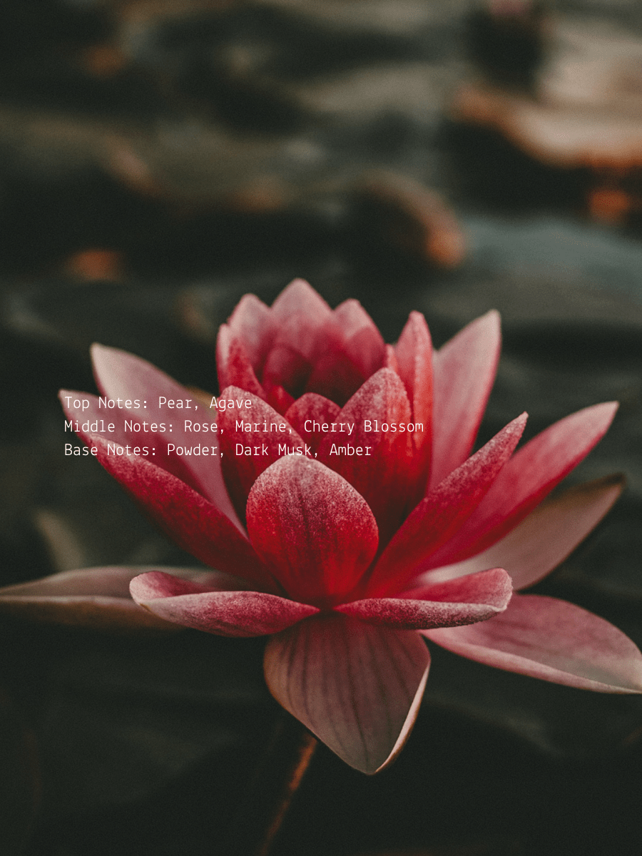 Pear + Cherry Blossom Lotus Wellness Candle  (online exclusive)