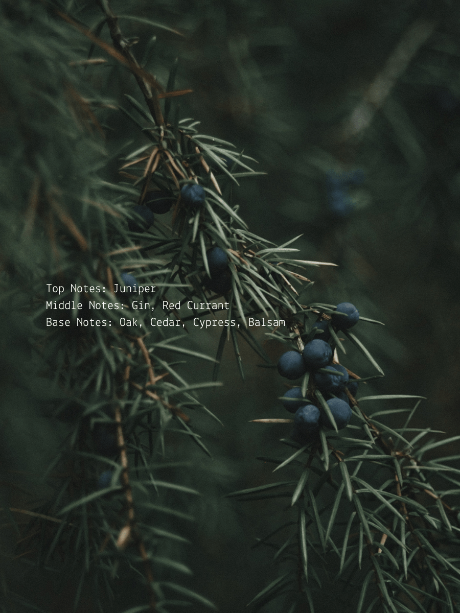 Juniper + Gin Heal Wellness Candle  (online exclusive)