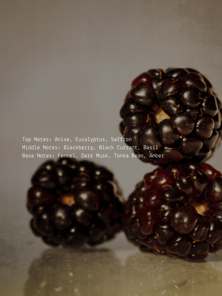 Black Currant + Fennel Dark Feminine Wellness Candle  (online exclusive)