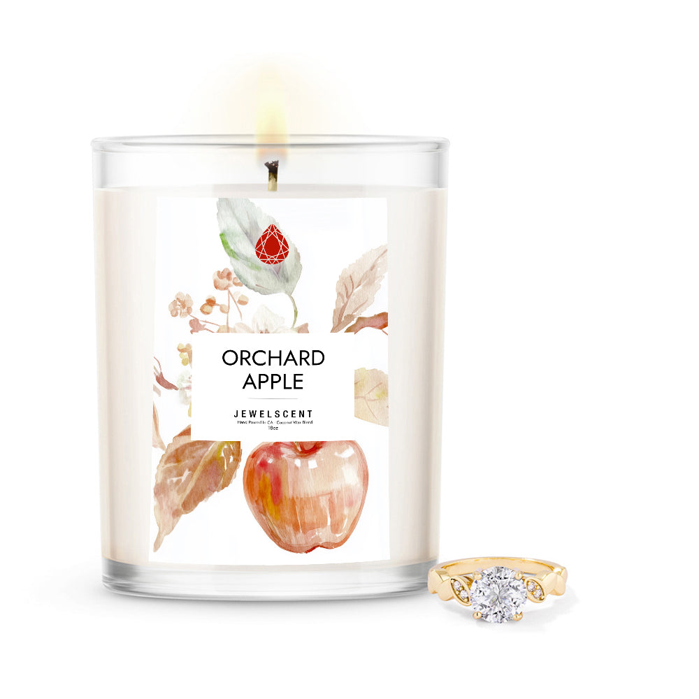 Orchard Apple 18oz Home Jewelry Candle (Online Exclusive)