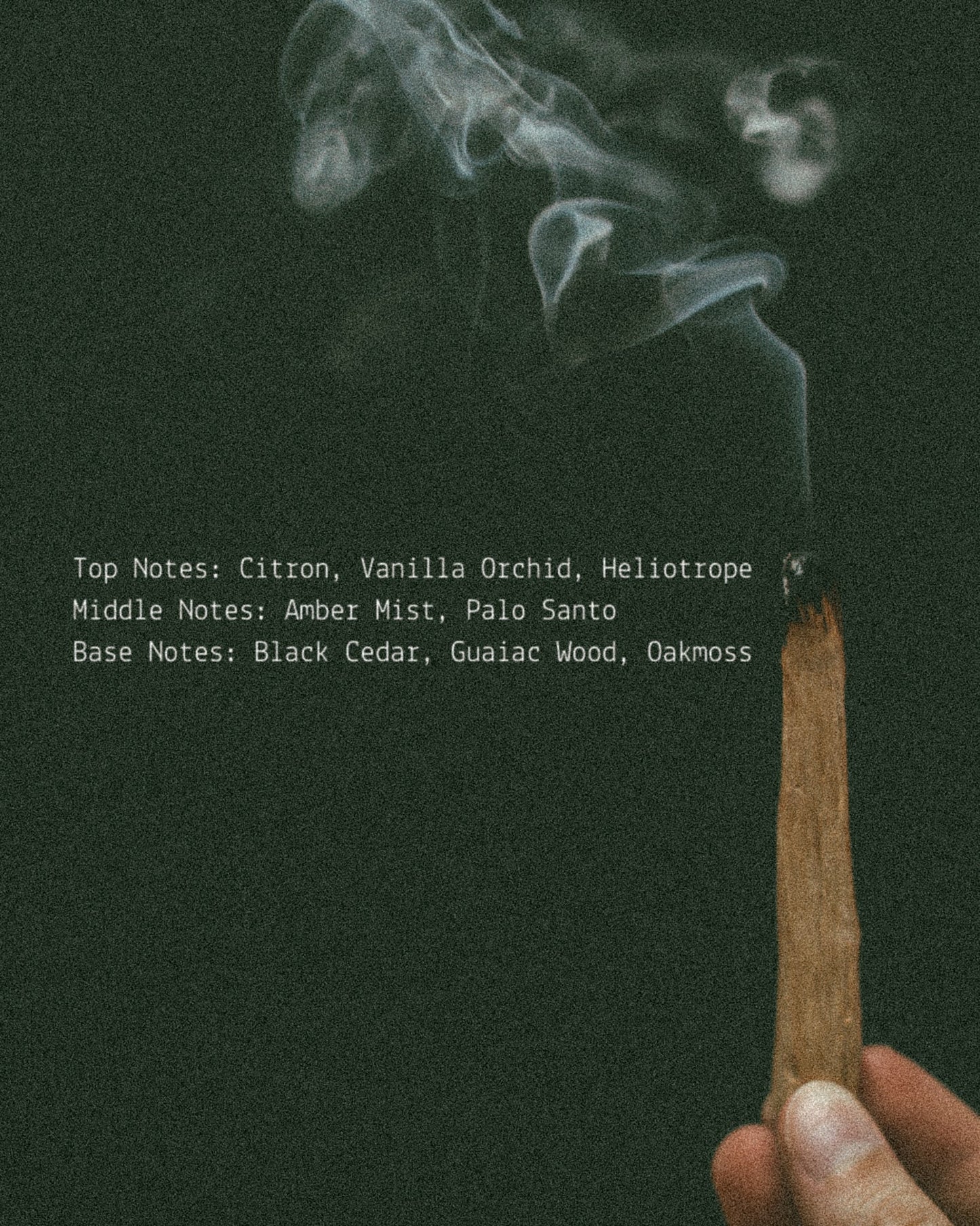 Palo Santo Room + Linen Fragrance Mist  (online exclusive)