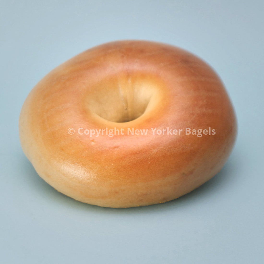 Plain Bagels (Online Exclusive)