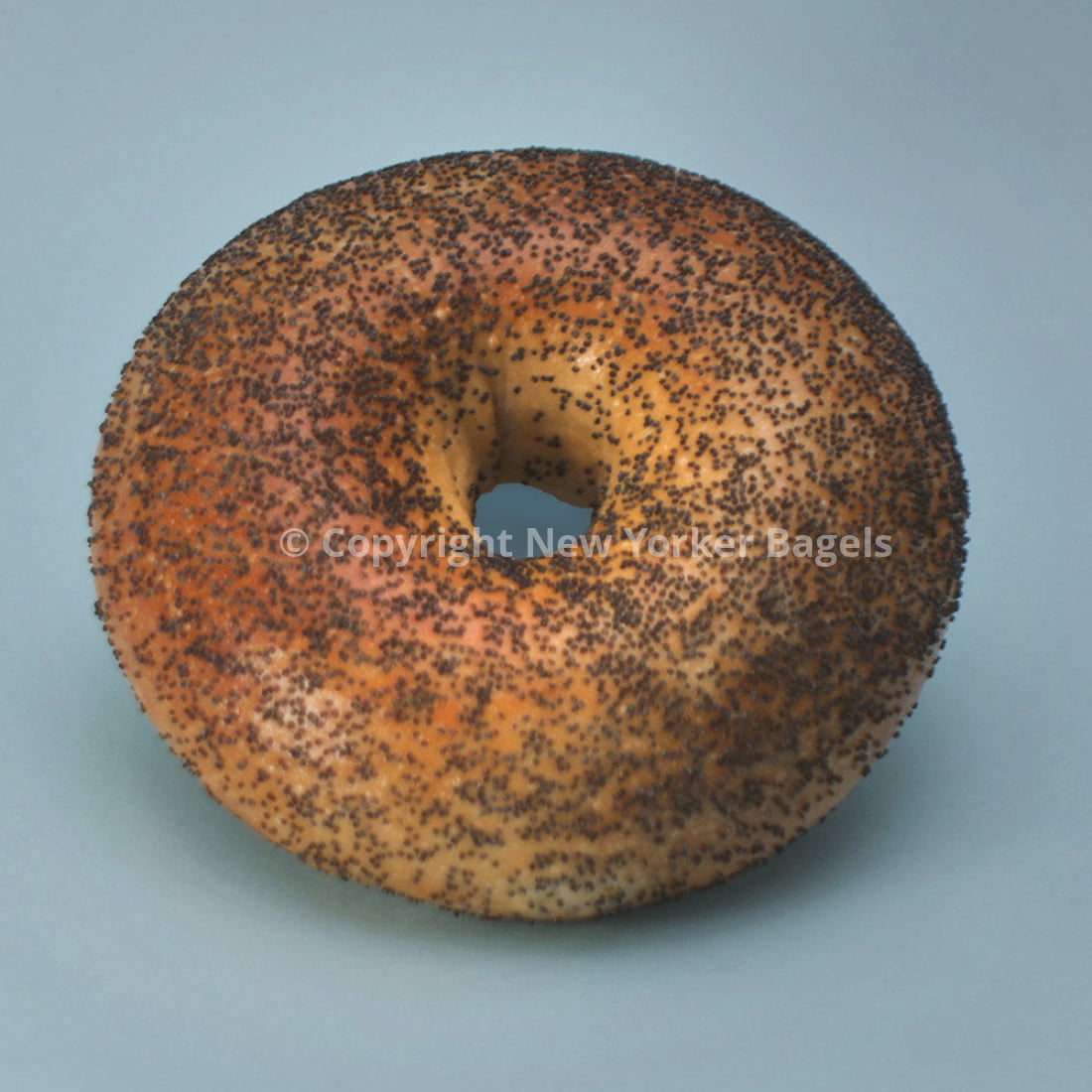Poppy Bagels - 2 Dozen (Online Exclusive)