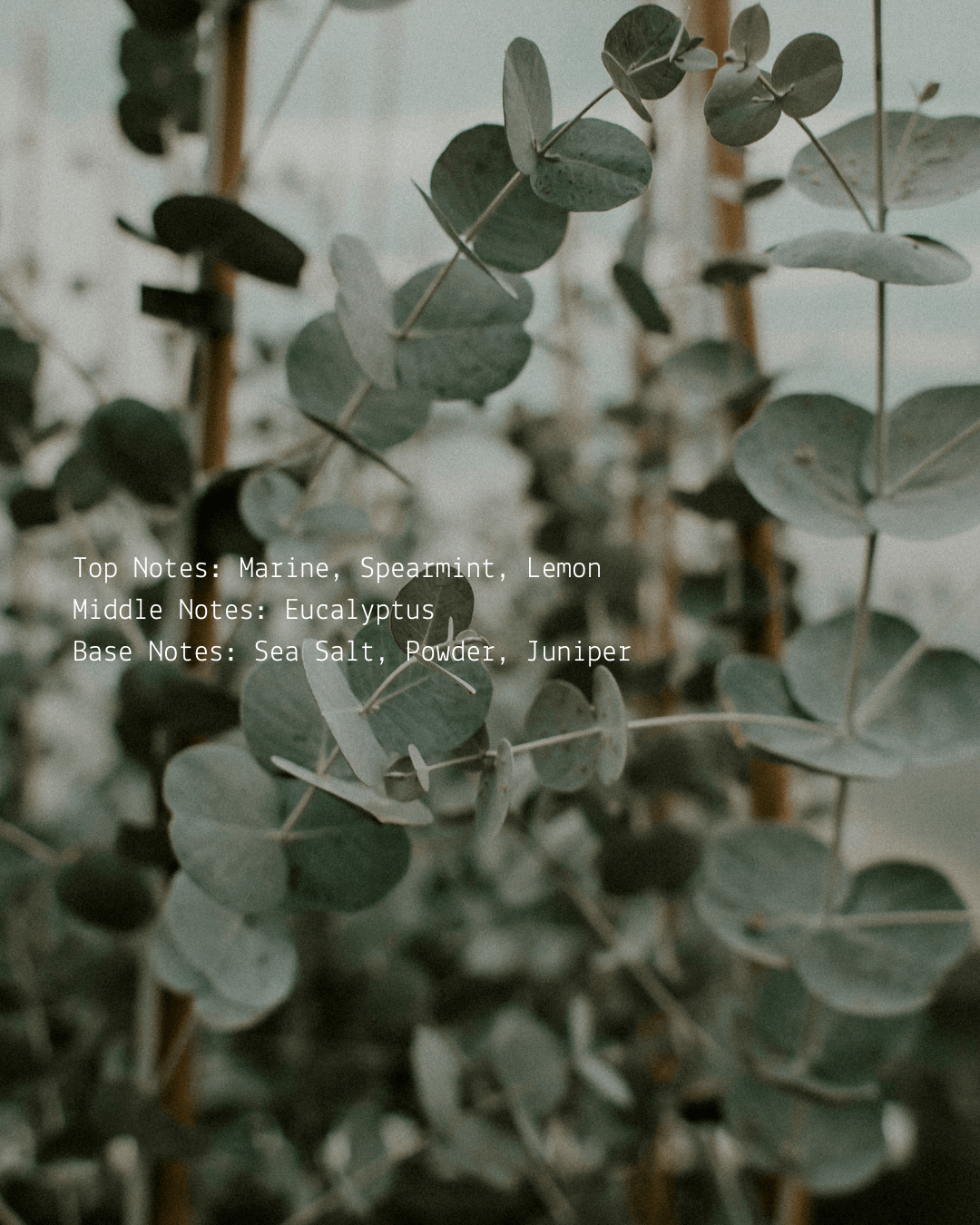 Release Room + Linen Fragrance Mist  (online exclusive)