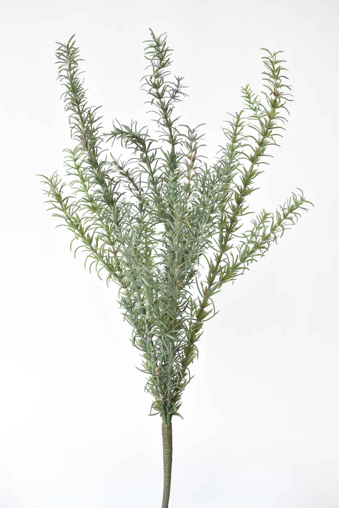 24" Faux Rosemary Bush (Online Exclusive)