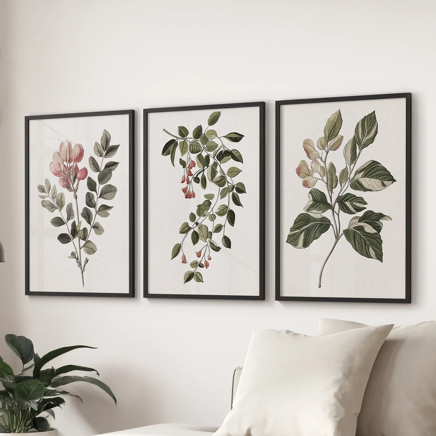 Floral Set of 3 Piece Wall Art. Magnolia, Honeysuckle  Prints  (online exclusive)