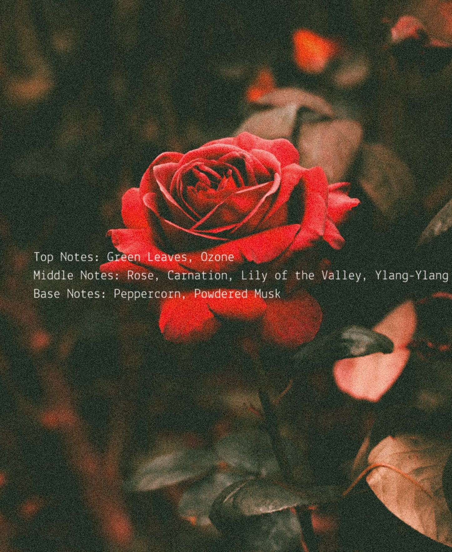 Self Love Room + Linen Fragrance Mist  (online exclusive)