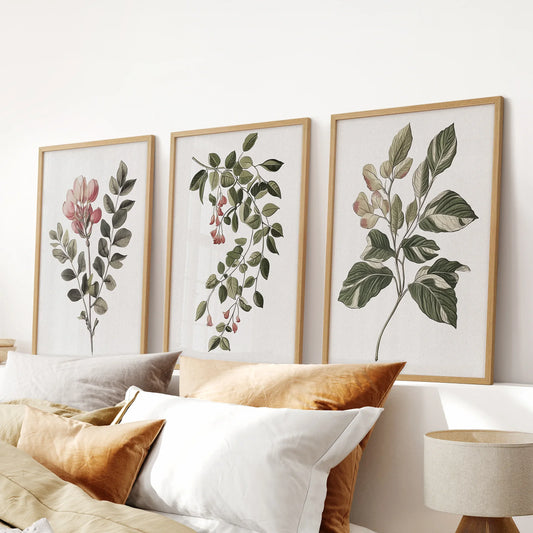 Floral Set of 3 Piece Wall Art. Magnolia, Honeysuckle  Prints  (online exclusive)